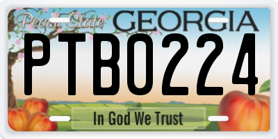 GA license plate PTB0224