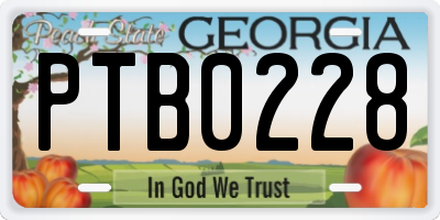 GA license plate PTB0228