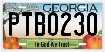 GA license plate PTB0230