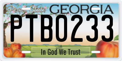 GA license plate PTB0233