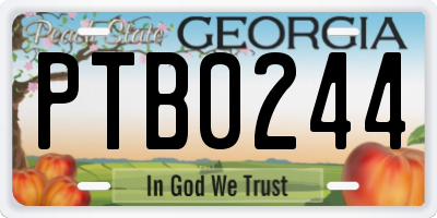 GA license plate PTB0244