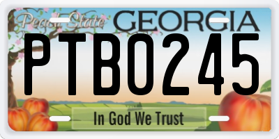 GA license plate PTB0245