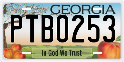GA license plate PTB0253
