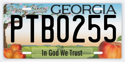 GA license plate PTB0255