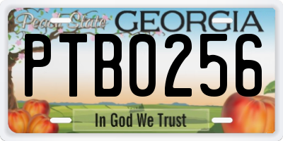 GA license plate PTB0256