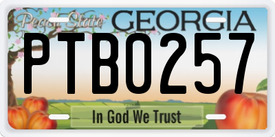 GA license plate PTB0257