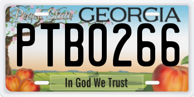 GA license plate PTB0266