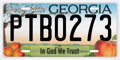 GA license plate PTB0273