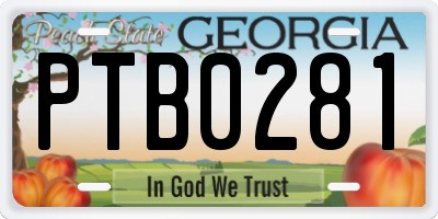 GA license plate PTB0281