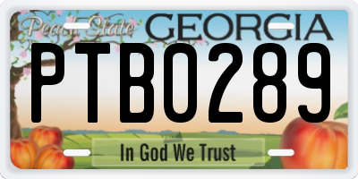 GA license plate PTB0289