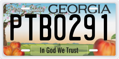 GA license plate PTB0291