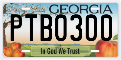 GA license plate PTB0300