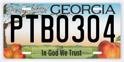 GA license plate PTB0304