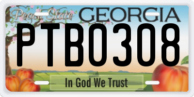 GA license plate PTB0308