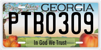 GA license plate PTB0309