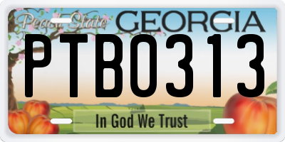 GA license plate PTB0313
