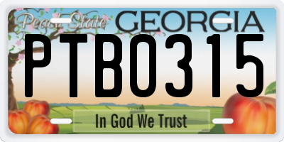 GA license plate PTB0315
