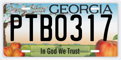 GA license plate PTB0317