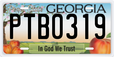 GA license plate PTB0319