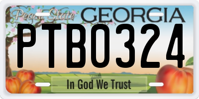 GA license plate PTB0324