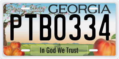 GA license plate PTB0334