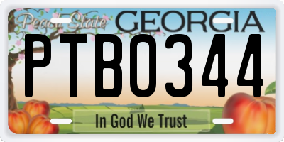GA license plate PTB0344