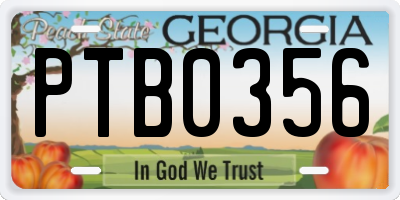 GA license plate PTB0356