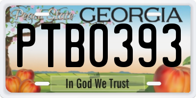 GA license plate PTB0393