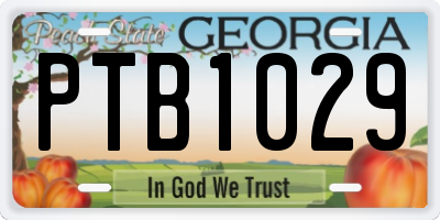 GA license plate PTB1029