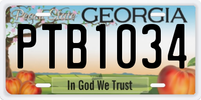 GA license plate PTB1034