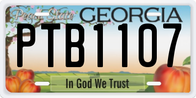 GA license plate PTB1107