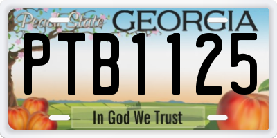 GA license plate PTB1125