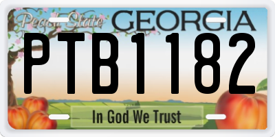 GA license plate PTB1182