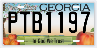 GA license plate PTB1197