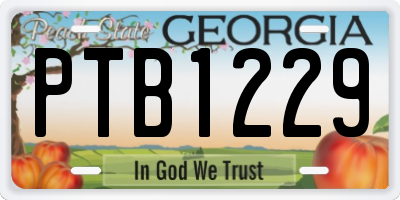 GA license plate PTB1229
