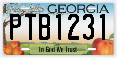 GA license plate PTB1231