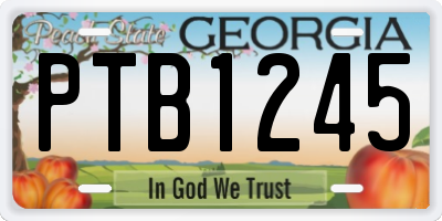 GA license plate PTB1245