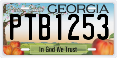 GA license plate PTB1253