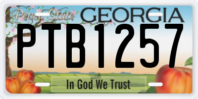 GA license plate PTB1257
