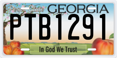 GA license plate PTB1291