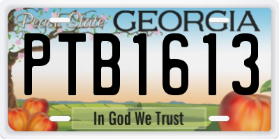 GA license plate PTB1613
