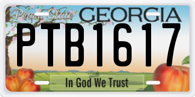 GA license plate PTB1617