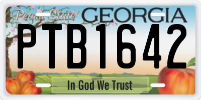 GA license plate PTB1642