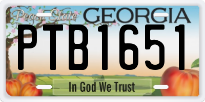GA license plate PTB1651