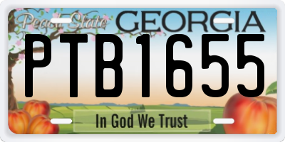 GA license plate PTB1655