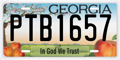 GA license plate PTB1657