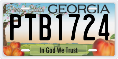 GA license plate PTB1724