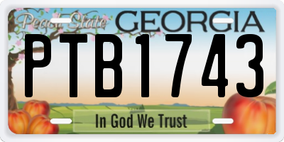 GA license plate PTB1743