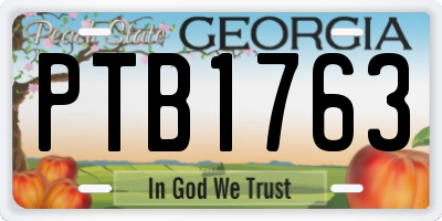 GA license plate PTB1763