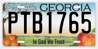 GA license plate PTB1765